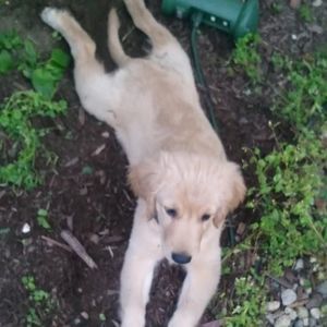 Meet your Posher, Carla